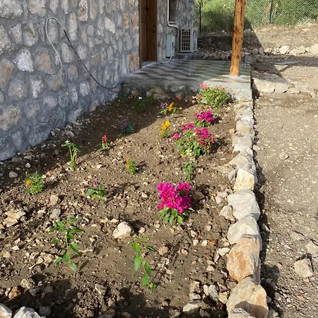 Adrasantasev Ali Baba Villa *